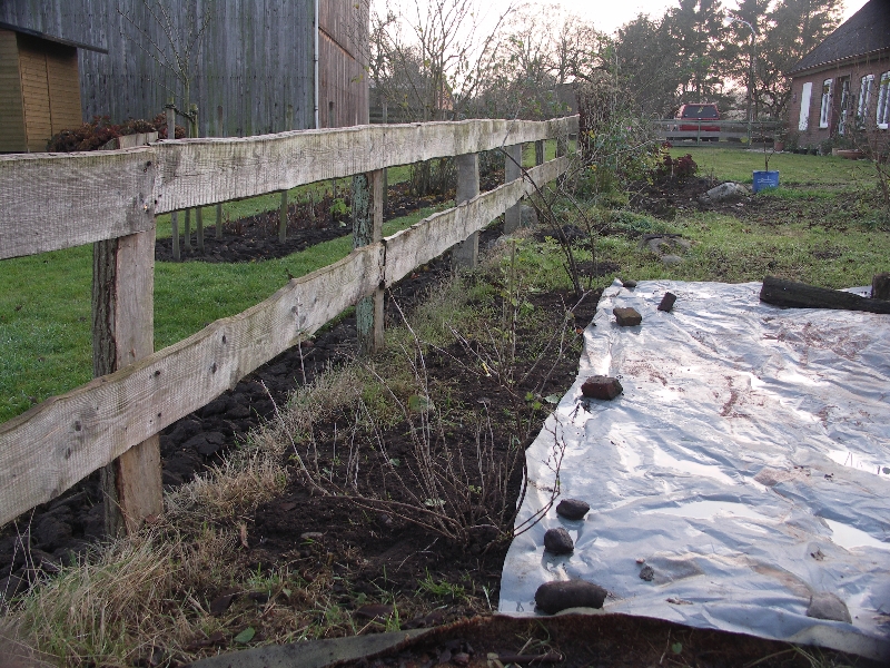 [Bild: Obststraeucher_2011122.jpg]