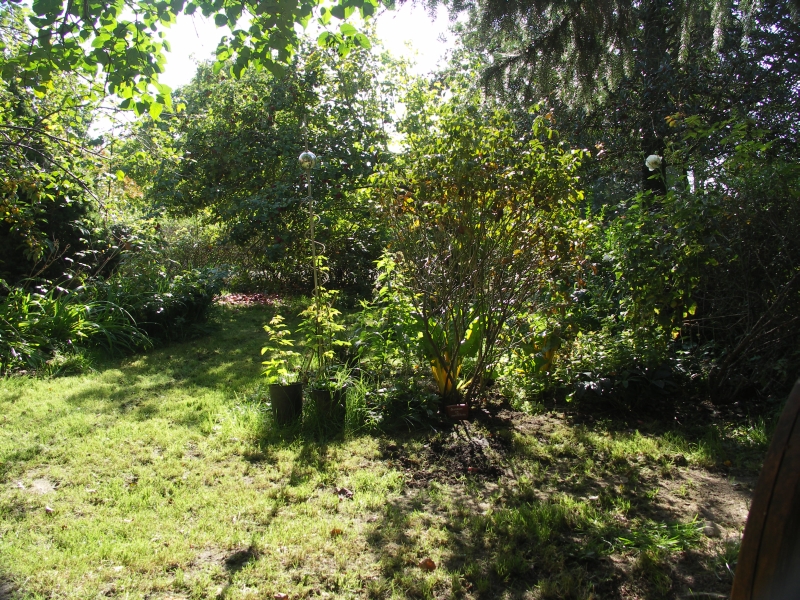 [Bild: Vorgarten1_20110927.jpg]