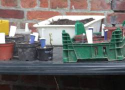 15.01.2011