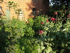 15.07.2011
