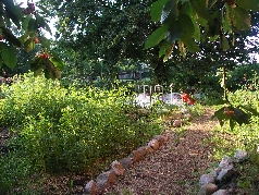 15.07.2011