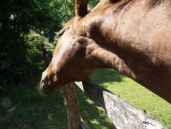 [Bild: small-MeineNachbarin_20110613.jpg]