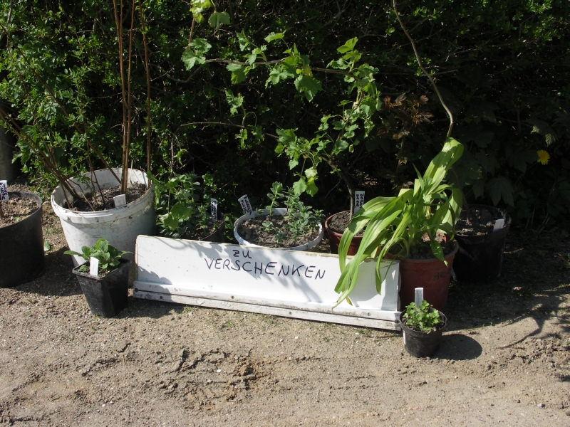 [Bild: ZuVerschenken_20120502.jpg]