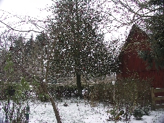 29.01.2012