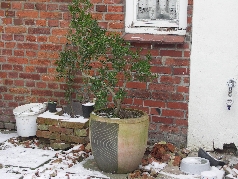29.01.2012